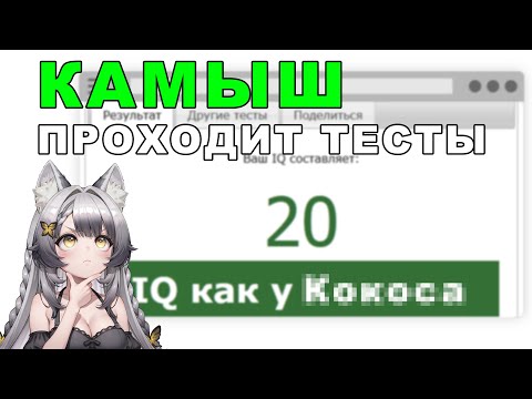 Видео: Камыш была лучшей Фурри Дотершой с красным дипломом по Экономике | Highlights