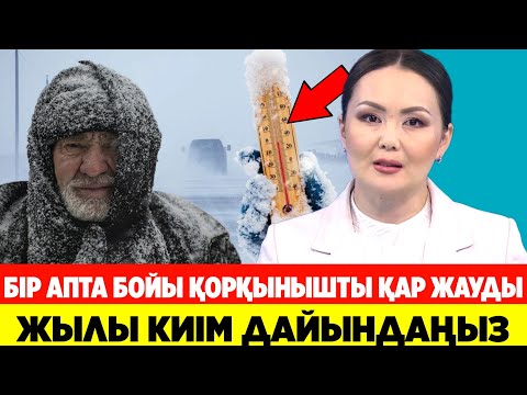 Видео: ҚАЗАҚСТАНДАҒЫ БИФ АПТАЛЫҒЫ-ҚОРҚЫНЫШТЫ ҚАР