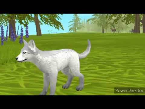 Видео: 🐺Мини фильм wildcraft белая волчица🐺