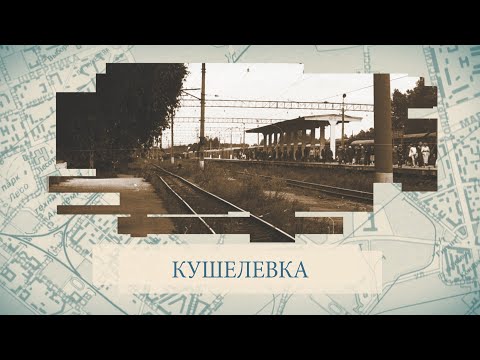 Видео: Кушелевка / «Малые родины большого Петербурга»