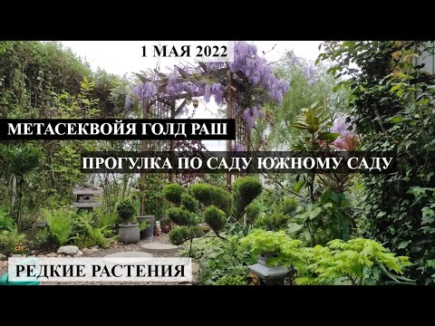 Видео: Прогулка по саду 1 мая 2022 ЮЖНЫЙ ЭКЗОТИЧЕСКИЙ САД | Большая коллекция редких растений ОБЗОР САДА