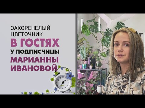 Видео: В гостях у Марианны Ивановой - бизнес и хобби. Интересные истории из жизни растений и их хозяйки.