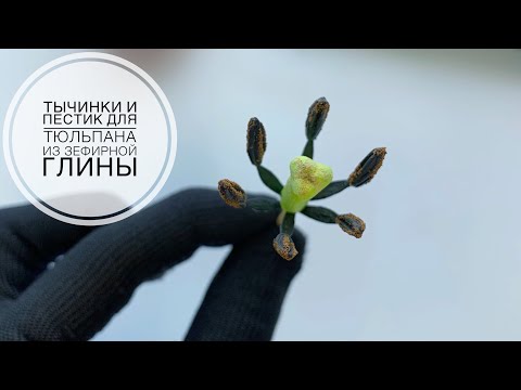 Видео: Мастер-класс тюльпан из фоамирана. Делаем реалистичные пестик и тычинки