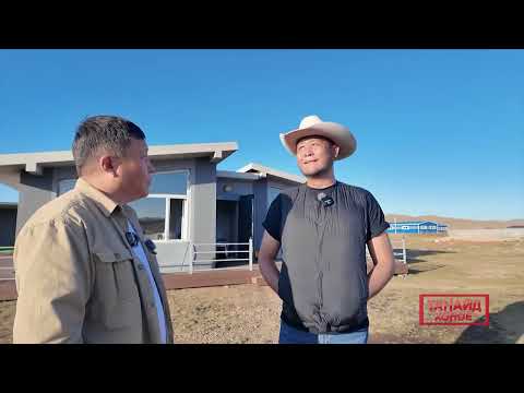 Видео: Үхрийн ферм