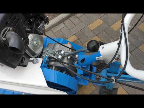 Видео: 3 октября 2025 г.