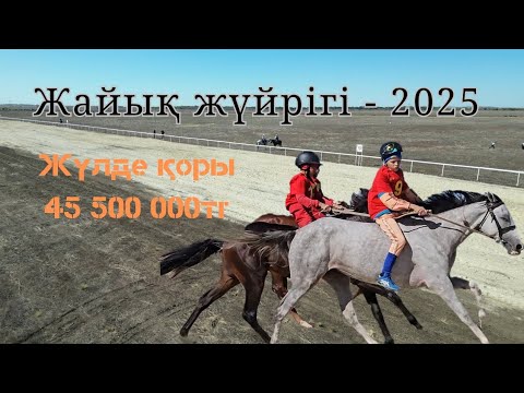 Видео: «Жайық жүйрігі 2025 🏇 Ұлы аламан бәйге | Ат жарыс – ұлттық ойын #орал#бәйге#ат#жылқы