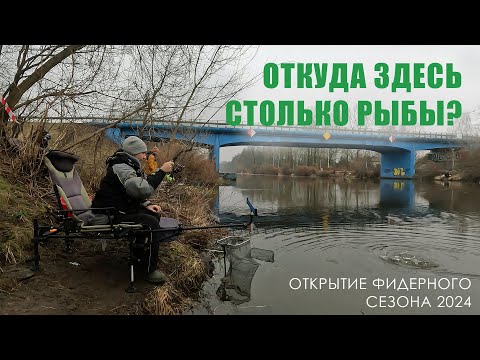 Видео: Открытие фидерного сезона 2024 / Фидерная рыбалка на канале / Фидер зимой / Плотва и лещи