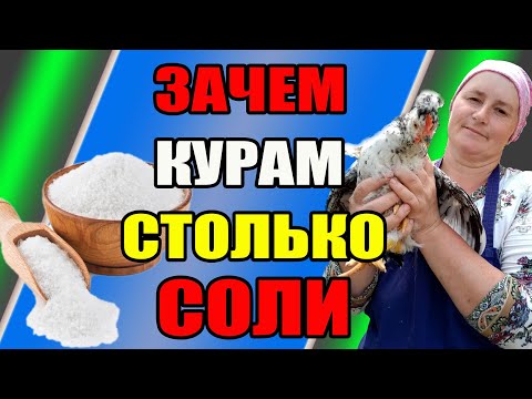 Видео: Зачем курам столько СОЛИ. Как правильно добавлять СОЛЬ в питание кур.