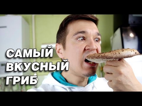 Видео: СЪЕДОБНЫЙ ГРИБ ЗОНТИК ЖАРЕНЫЙ С ЛУКОМ