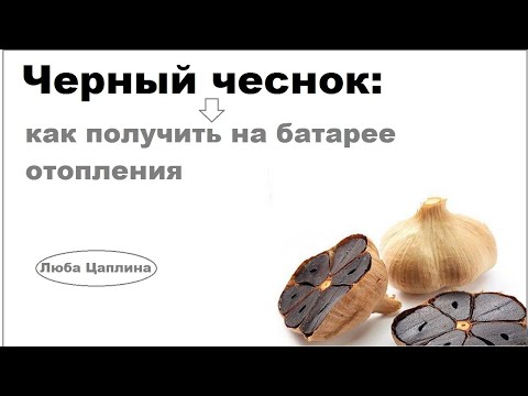 Видео: Черный чеснок: как получить на батарее отопления