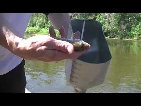 Видео: Рыбак о вакцинации. Судоверфь. Коми край. Ukhta.