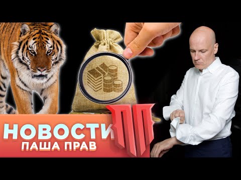 Видео: Что будет с оружием в 2025-м году. Перестрелка из за беляша. Дед Мороз с обрезом. Тигры и медведи