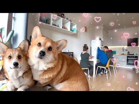 Видео: Утро у папы🌸Собрались на ДАЧУ! Вкусный завтрак 💜 Напала икота