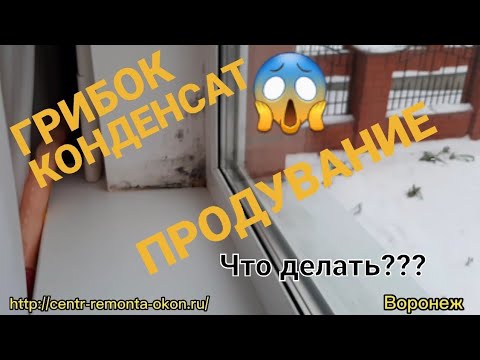 Видео: Почему на окнах плесень и конденсат?