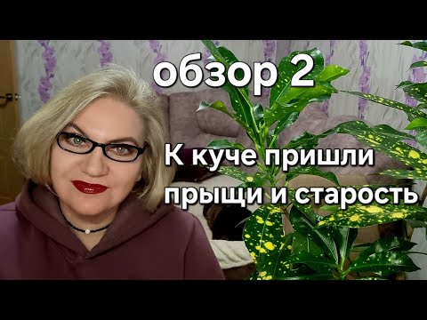 Видео: К куче пришли прыщи и старость😪