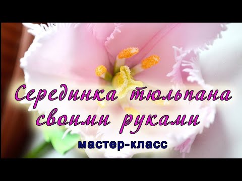 Видео: Серединка тюльпана из фоамирана/DIY Tulip/Как сделать тычинки тюльпана/Тюльпан из фоамирана