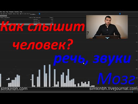 Видео: Как слышит человек, воспринимает речь, звуки. Мозг. Практика