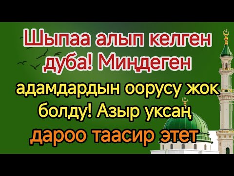 Видео: Керемет дуба менен айыккандар көбөйүүдө! 3 мүнөттө оору жоголот! 🤲