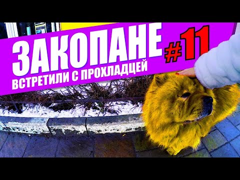 Видео: Почему нас приняли прохладно? [ЗАКОПАНЕ]