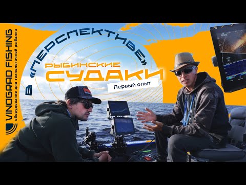 Видео: РЫБИНСКИЕ СУДАКИ В "ПЕРСПЕКТИВЕ". ПЕРВЫЙ ОПЫТ.