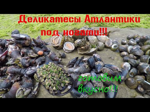 Видео: ДЕЛИКАТЕСЫ АТЛАНТИКИ!!! ГОТОВИМ ВКУСНО!!!