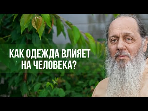 Видео: Как одежда влияет на человека?