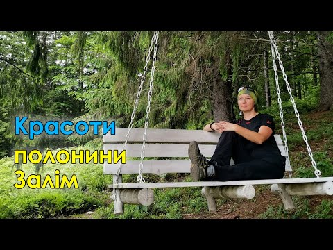 Видео: Полонина Залім | Нарінецький Водоспад | Гуцульська гойдалка | 300-річна смерека | Татарів | Карпати