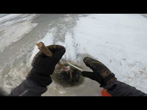 Видео: Рыбалка на Енисее. Поставухи на налима. Есть улов. 01.11.2022.