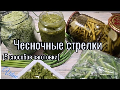 Видео: Способы заготовки ЧЕСНОЧНЫХ СТРЕЛОК которые многие выбрасывают!!