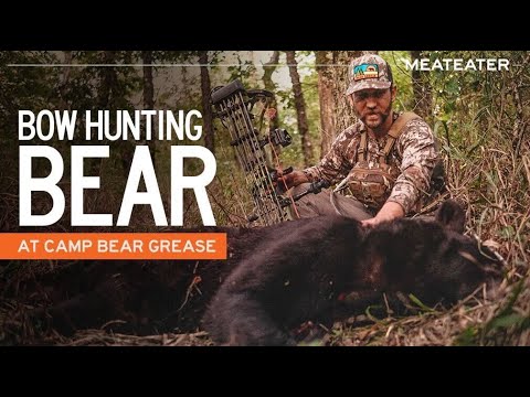 Видео: Охота с луком на медведя в лагере Bear Grease