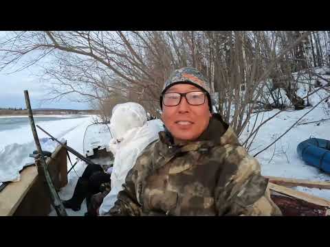 Видео: Как мы строили скрадок  и охотились на уток.