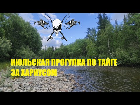 Видео: Ловля июльского хариуса