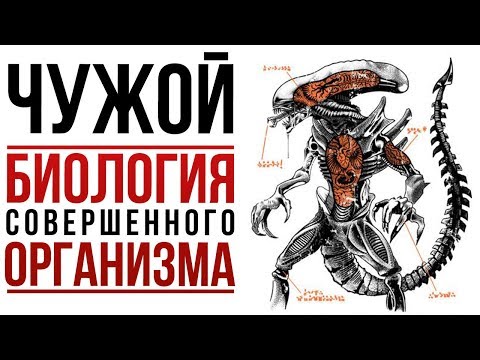 Видео: Чужой: БИОЛОГИЯ совершенного организма