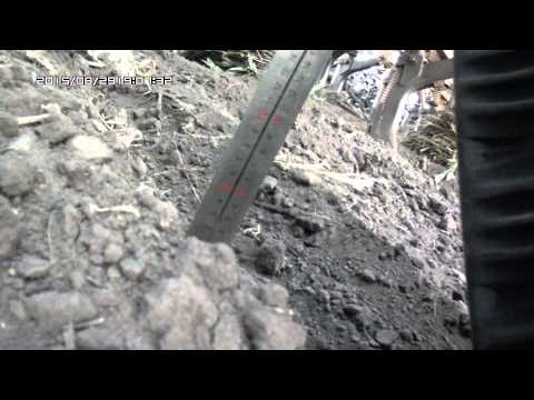 Видео: Сеялка  СКП-2,1