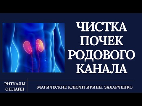 Видео: ПОЧКИ. Очищение и восстановление, нормализация работы почек. ЧИСТКА РОДОВОГО НЕГАТИВА.