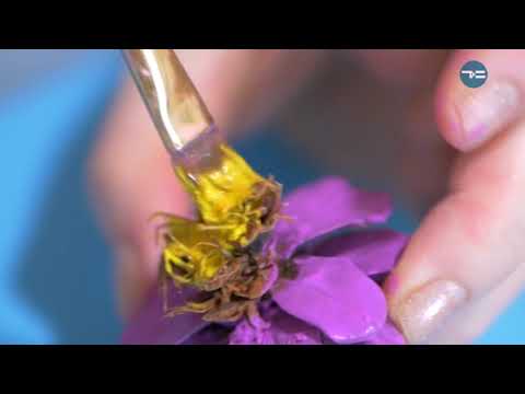 Видео: Панно из шишек - «Утро с Вами» 21.03.2019