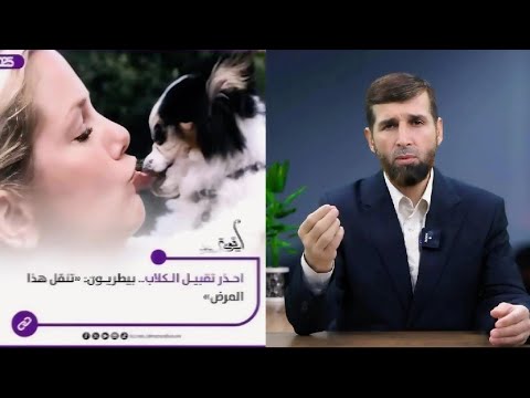 Видео: ЗАРАРҲОИ САГ ДАР ХОНА/ ضررهای سگ در خانه