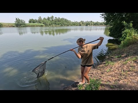 Видео: Рыбалка на сазана летом 2025 клёв тут хороший, новый спорт водоём