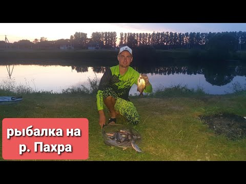 Видео: Рыбалка на фидер на реке Пахра, отличный отдых!