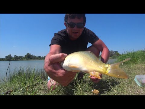 Видео: ВДАЛИ ОТ ДОМА - РЫБАЛКА В КАБАРДИНО - БАЛКАРИИ