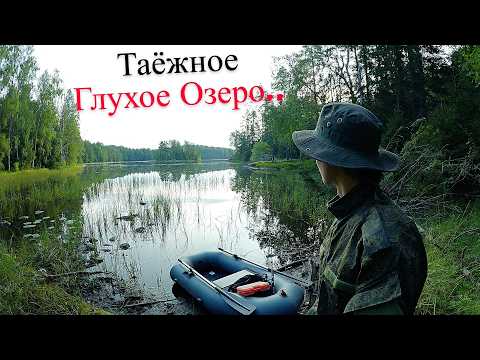 Видео: С Лодкой Через Лес к Дикому Озеру | Окунь Каннибал | Злая Щука UHD