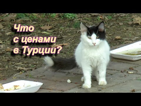 Видео: И опять о ценах в Турции.