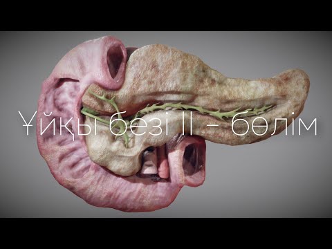 Видео: Ұйқы безі  2 - Бөлім | Ферменттер | Экзокриндік қызметі