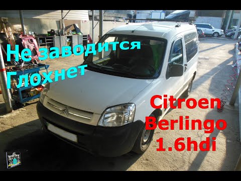 Видео: Не заводится, глохнет - Citroen Berlingo 1.6hdi.