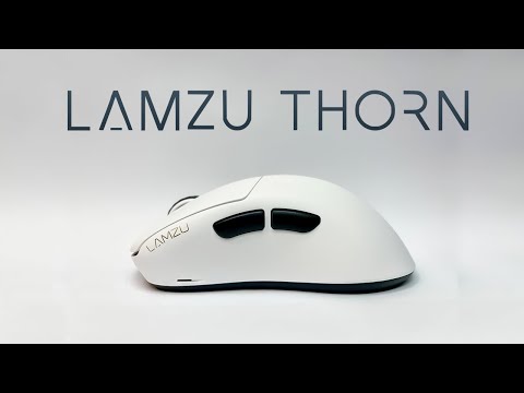 Видео: ЛУЧШАЯ ИГРОВАЯ МЫШЬ В 2024?! Lamzu Thorn 4k #lamzu #mousereviews #gamingmice