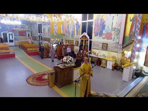 Видео: 08.11 Всенічна