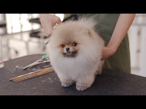 Видео: Я вам нравлюсь?