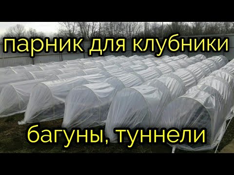 Видео: Как сделать парник для клубники. Багуны, туннели для клубники.