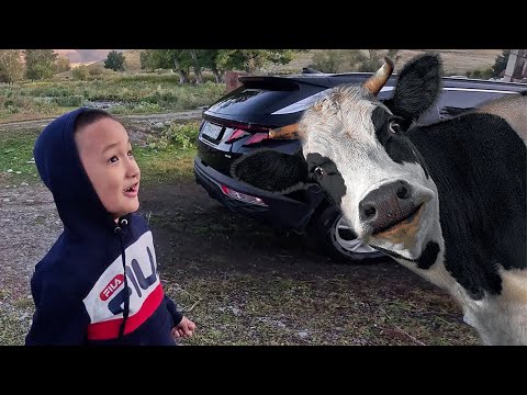 Видео: Катонқарағай ауданы, Үштөбе ауылы 1-бөлім
