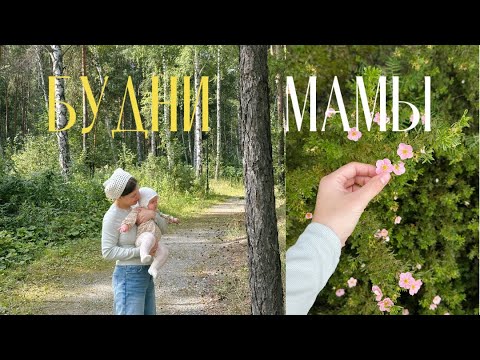Видео: неделя молодой мамы в декрете, пять месяцев дочке, рисую, обзор детских вещей, шоппинг с малышкой